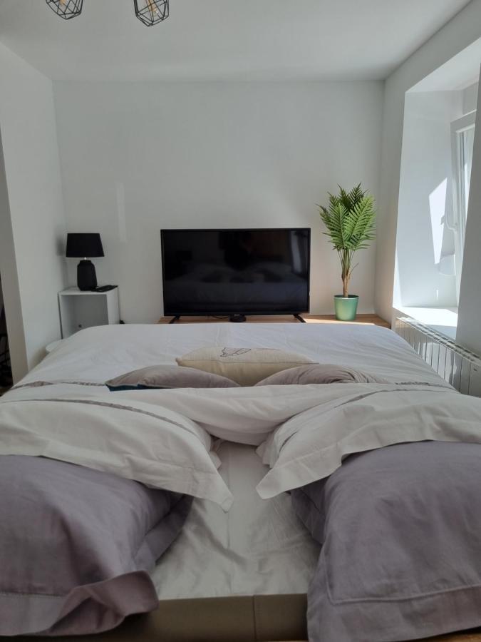 Residence Cosy Et Moderne Morvillars エクステリア 写真